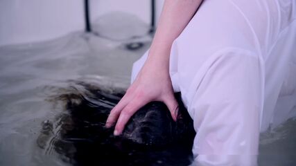 Domme Bath